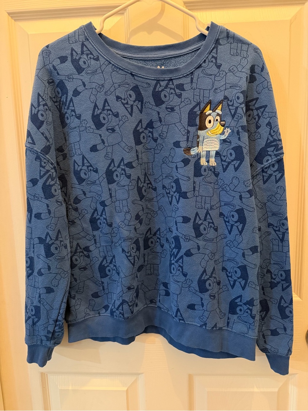 Bluey Character Crewneck Sweatshirt L